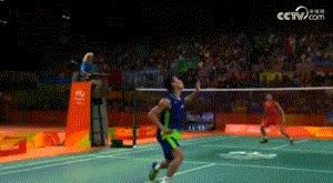 羽毛球林丹最新消息,李宗伟新消息