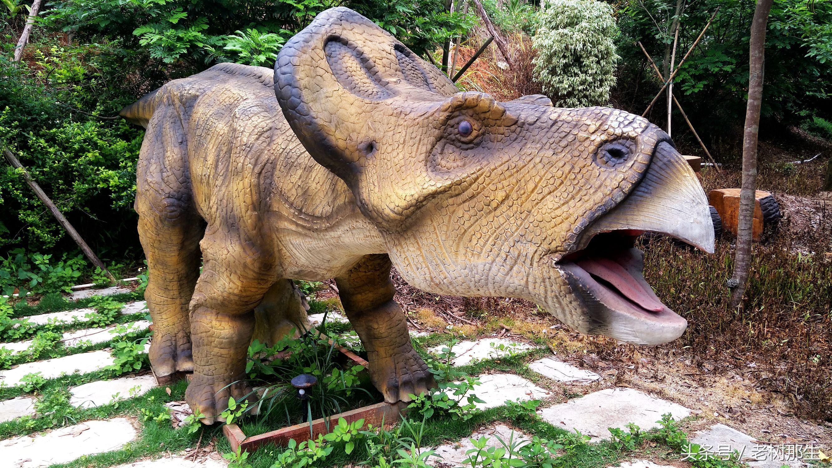 南宁花雨湖景区好玩吗,南宁花雨湖风景区