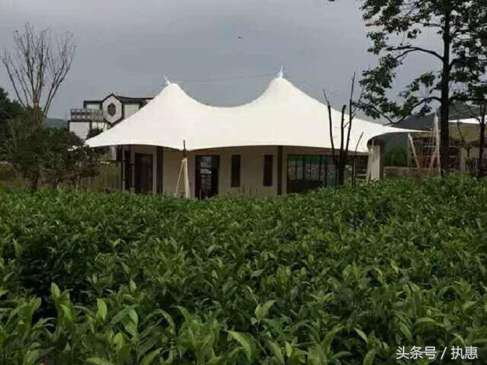 旅游ip概念,旅游ip为什么那么难