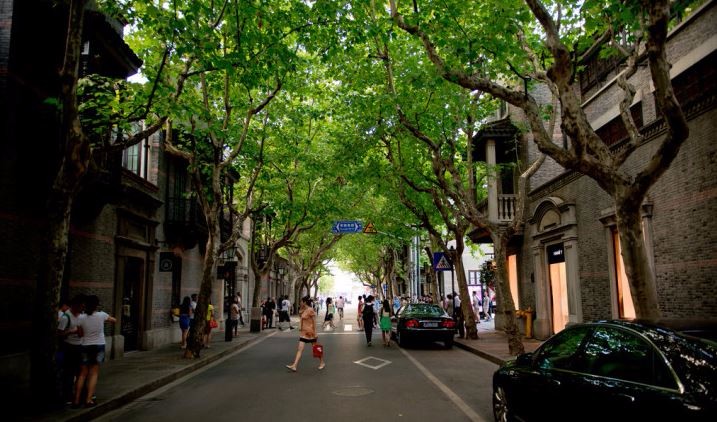 上海人在香港的真实感受,上海人去香港算什么档次