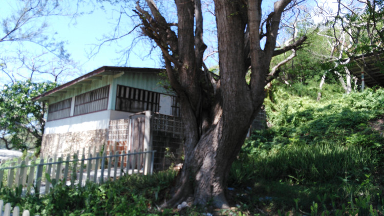 海岛体验,泰国旅游格兰岛攻略