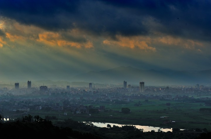 广西博白县桂圆柚之乡,广西博白桂圆2023批发价格