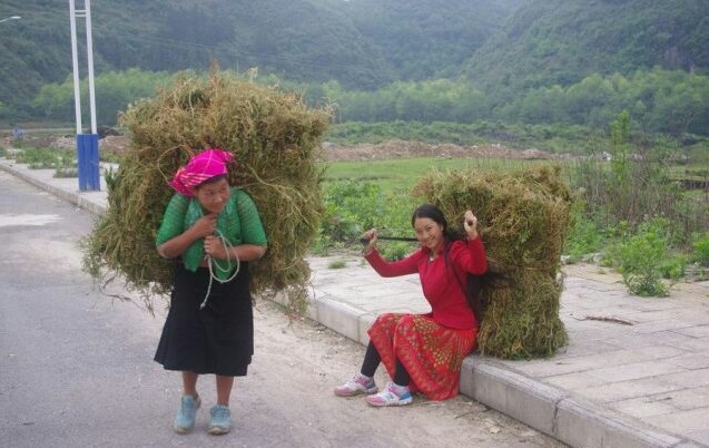 广西女孩选择嫁江浙沪不,广西女孩适合做老婆吗