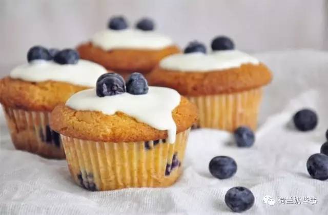 新晋网红酸奶有哪些,有名酸奶油