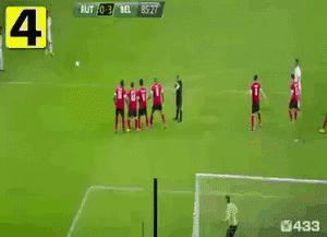 爆笑趣图：饲养员告诉你：遇到老虎猛兽该怎么做