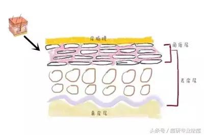 皮肤泛油毛孔粗大用什么面膜清洁,毛孔粗大脸上泛油如何改善男生