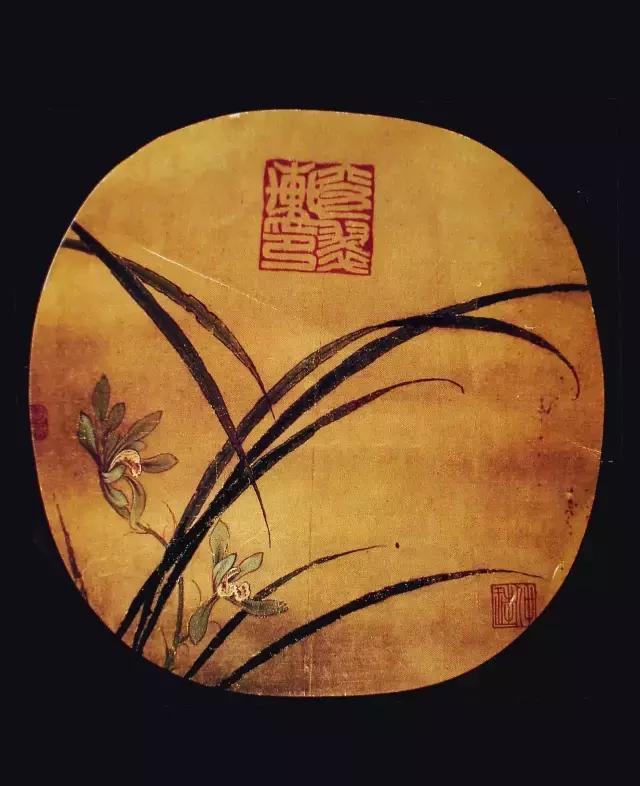 荐书|中国人对兰花情有独钟,没想到达尔文也一样