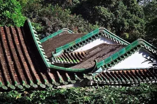 去过100次越秀公园，却不知旁边有个秘密花园！美爆了！