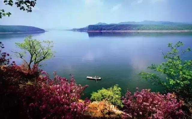 西安3月底周边赏花踏青一日游,武汉踏青自驾一日游推荐