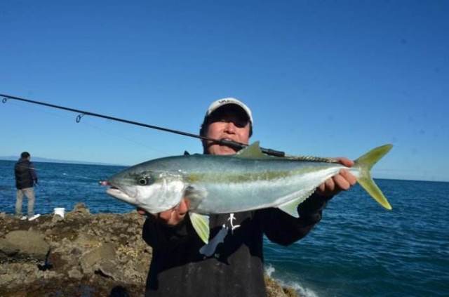 新西兰海产干货,新西兰海珍品