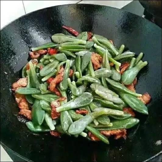 逆天了中国吃货!多肉植物炒肉吃!