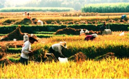 干活累的关节疼用什么外用药,干活保护手指关节