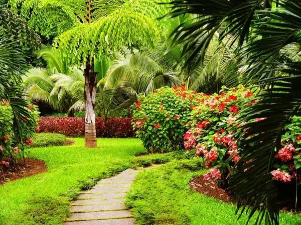 泼水节西双版纳旅游需要注意什么,西双版纳泼水节防晒攻略