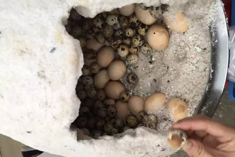 珠宝人还是美食家看看时下流行的那些好玩儿好吃的珠宝游学吧