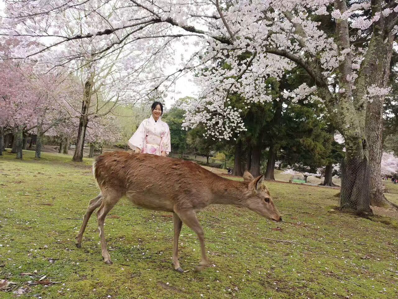 初游日本,日本最值得尊敬的对手