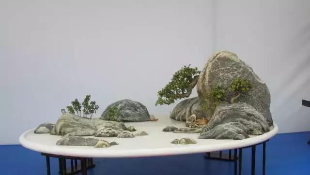 世界上最美的盆景有哪些,世界上最美的盆景