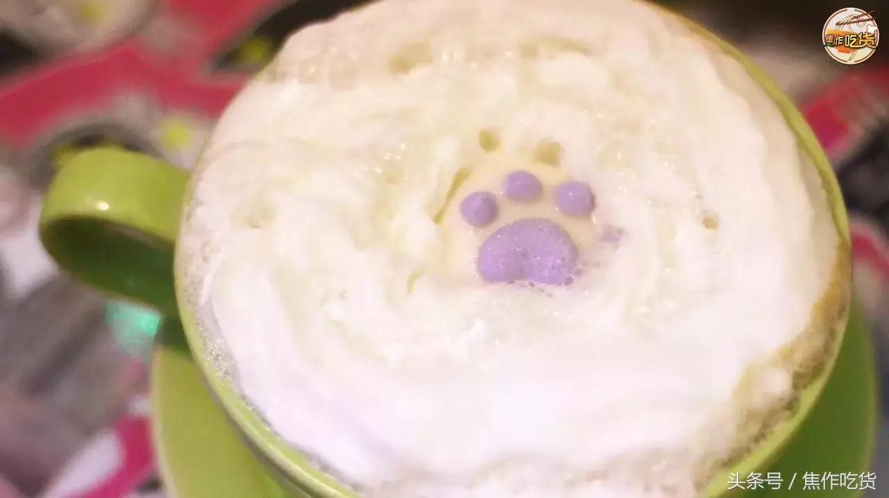 猫咖郑州焦作,焦作猫咖推荐