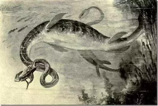 两富二代大量炸毁化石，开枪埋雷不惜破产，竟是为了*论发**文争名利