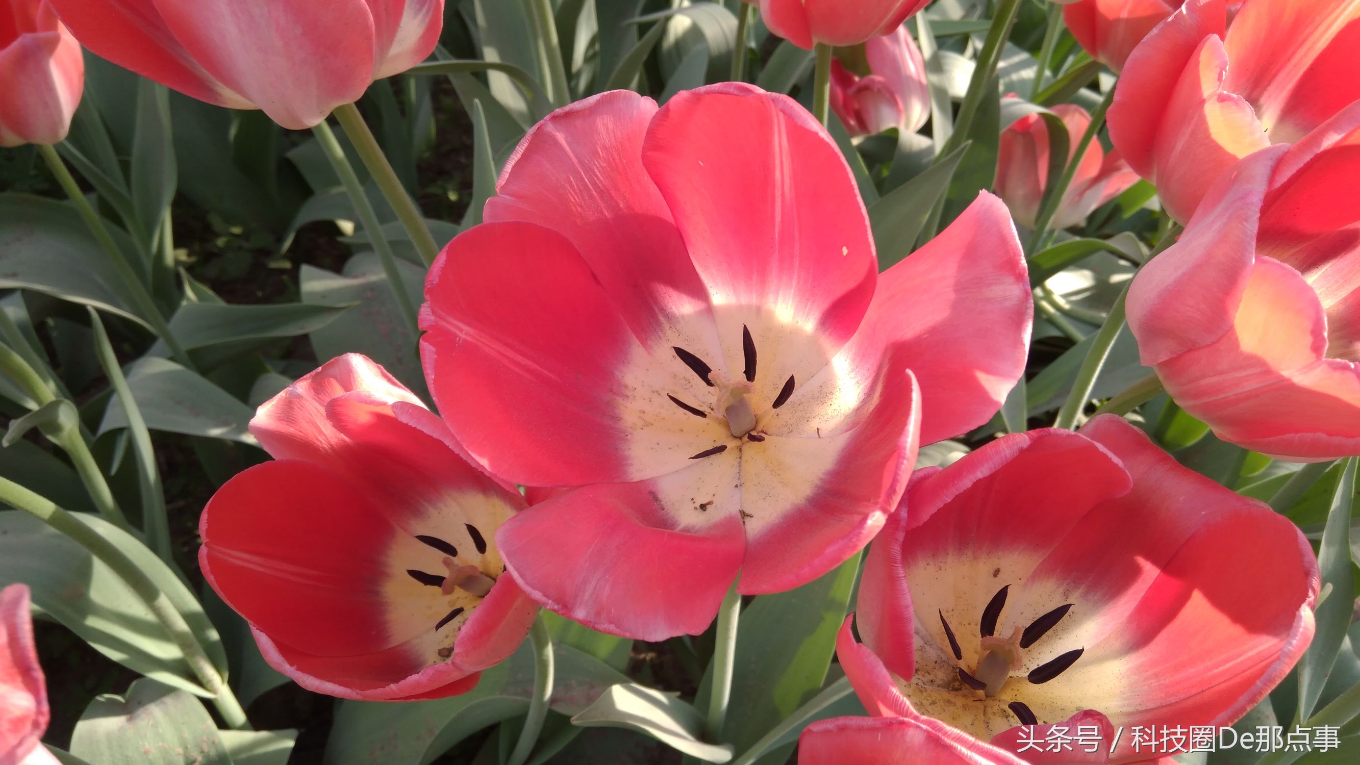 nokia6的优点与缺点,诺基亚nokia6价格表