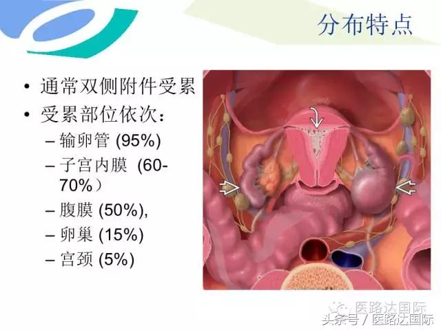 北京妇产医院梁宇霆,北京妇产医院梁宇霆出诊