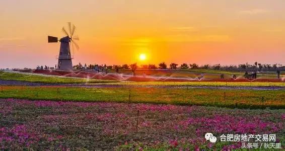 巢湖环湖大道景点,环湖大道巢湖全段
