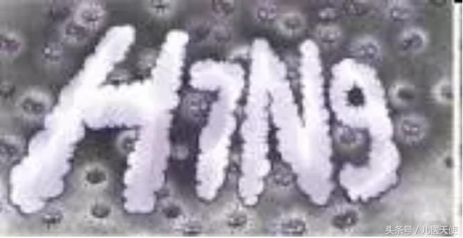 关于人感染h7n9禽流感你想知道的,预防人感染h7n7禽流感视频