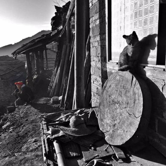 鍝佽川鐢熸椿鍒涙剰鎽勫奖,鎵嬫満鎽勫奖鍒涗綔涓撻璁插骇