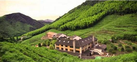 想在网上卖茶叶怎么找货源,网上开店卖茶叶哪个平台好