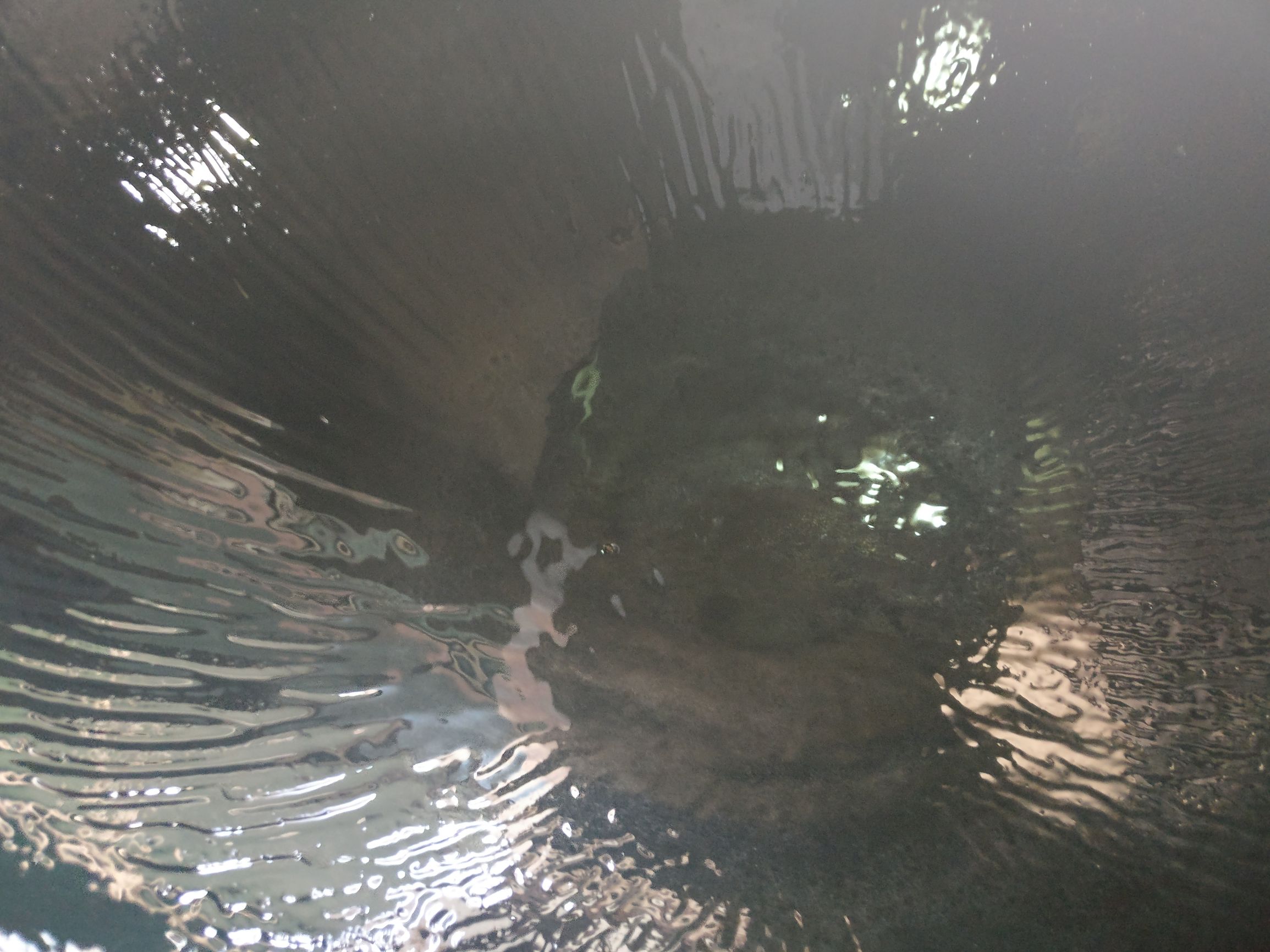 国家一级厨师教你做玉米烙,厨师做玉米烙用什么粉