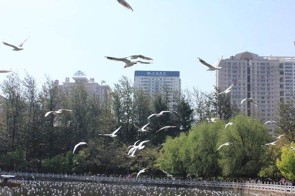 广州三天两晚旅行攻略穷游,7天云南穷游旅游攻略