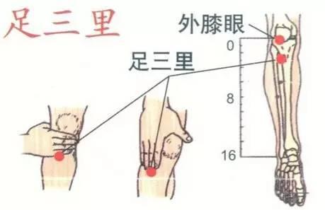 调理胃炎中药方,调理胃炎的药膳