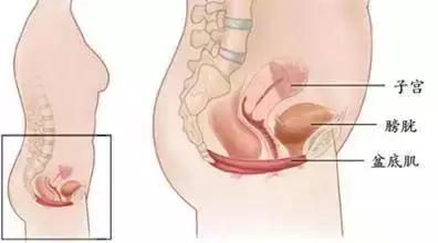 怀孕分娩时承受多少痛苦,怀孕分娩引起的肾功能损伤