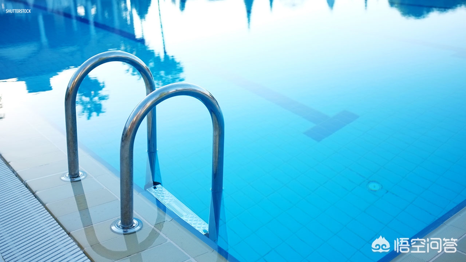 室内游泳池里为何有尿,为什么泳池有尿
