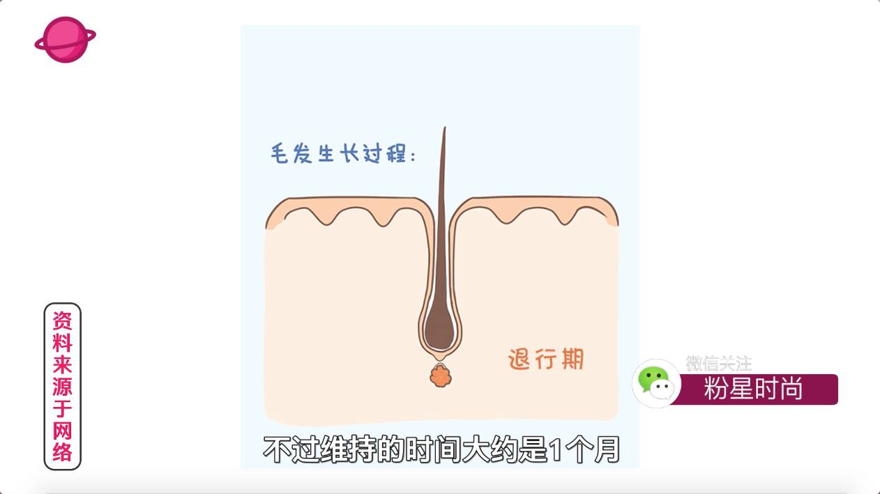 比较好的脱毛产品,一百以下脱毛推荐