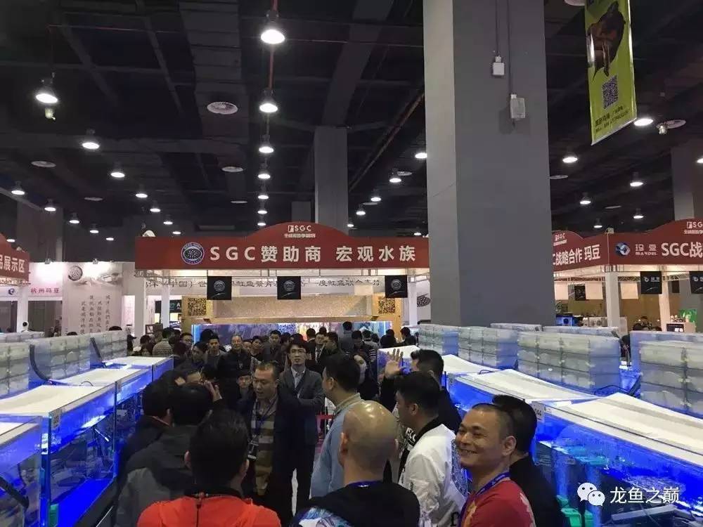 3000字长文，听李佳良聊杭州玛豆的五年弯路感悟