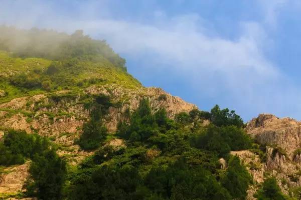 省下机票钱！杭州周边8个美到窒息的蔚蓝海岛，路费100+就能享受沙滩、海浪……完全不输国外！走起~