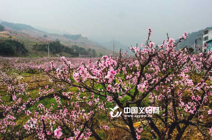 厉害了！五月的义乌又多了6个霸气的新名字！第一个就超爱！