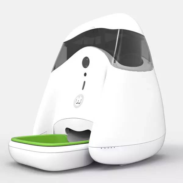 给狗喂饭要喂多少,给狗刷牙的知识