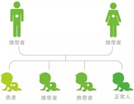 宜昌人爱吃的这种菜！3岁娃吃了两口，高烧不退，连尿尿颜色都变了……新手爸妈留意了！