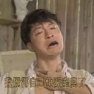 南京人被毛絮絮害惨了,今天给你一剂解药!