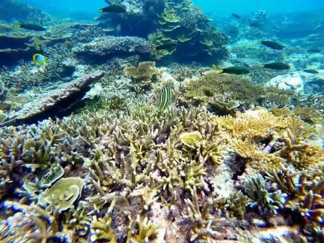 游绝美海岛沙巴,旅行海岛沙巴