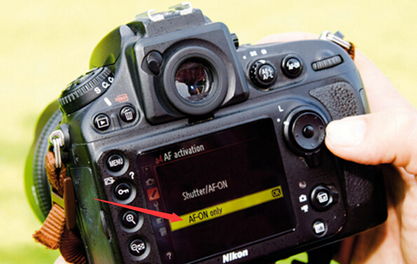 对焦追焦拍摄技巧,相机前景遮挡拍摄对焦技巧