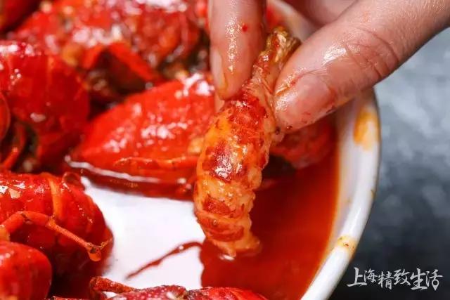 上海清水小龙虾,上海澳洲小龙虾