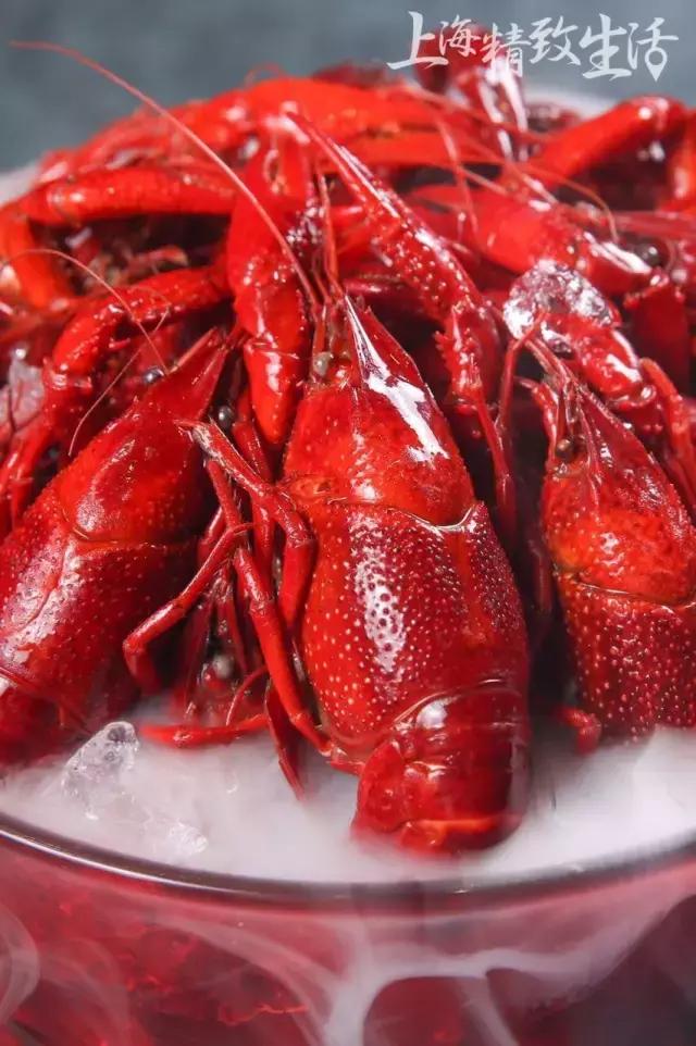 上海清水小龙虾,上海澳洲小龙虾