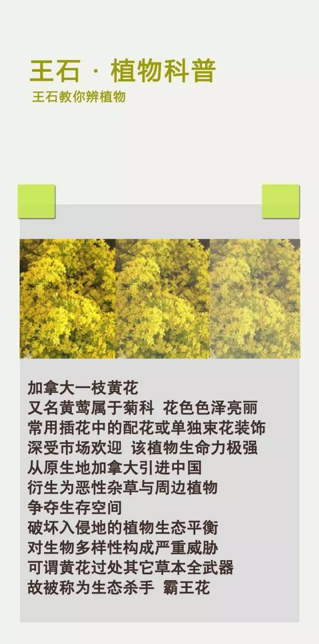 从硬汉军人到华为教父,从硬汉军人到华为教父任正非