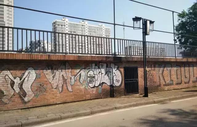 这所颜值逆天的学校，不仅是剧组常驻地，连教授都是国内一线明星