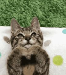 还沉浸在美景中无法自拔,还沉浸在照片里的时光无法自拔