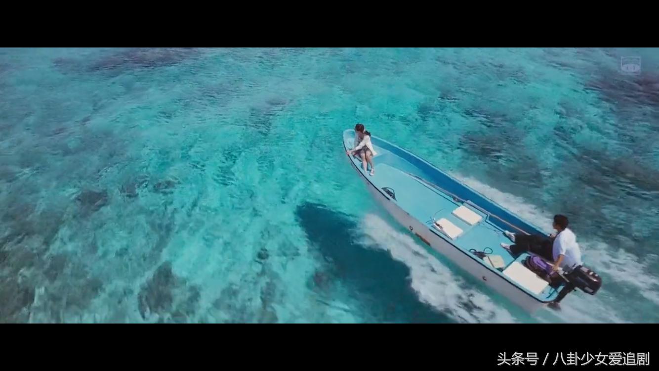 怒日本电影免费观看,怒2016电影