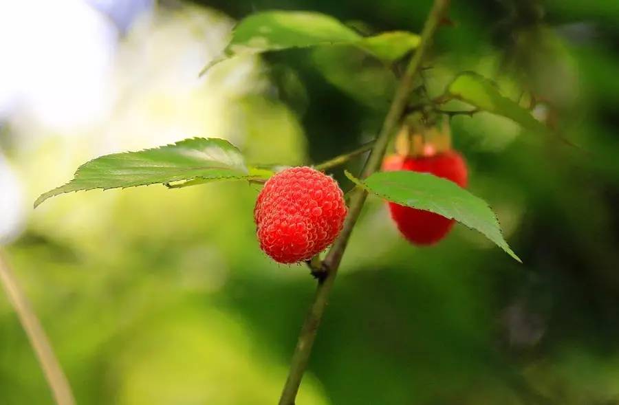 元宝山下,山水云间,悠悠闲云时光,恰好那时我也在