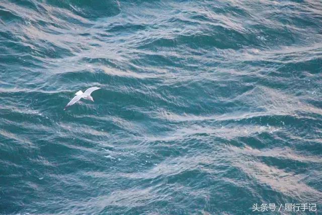 冬季的邮轮旅游 (冬天日本邮轮游)